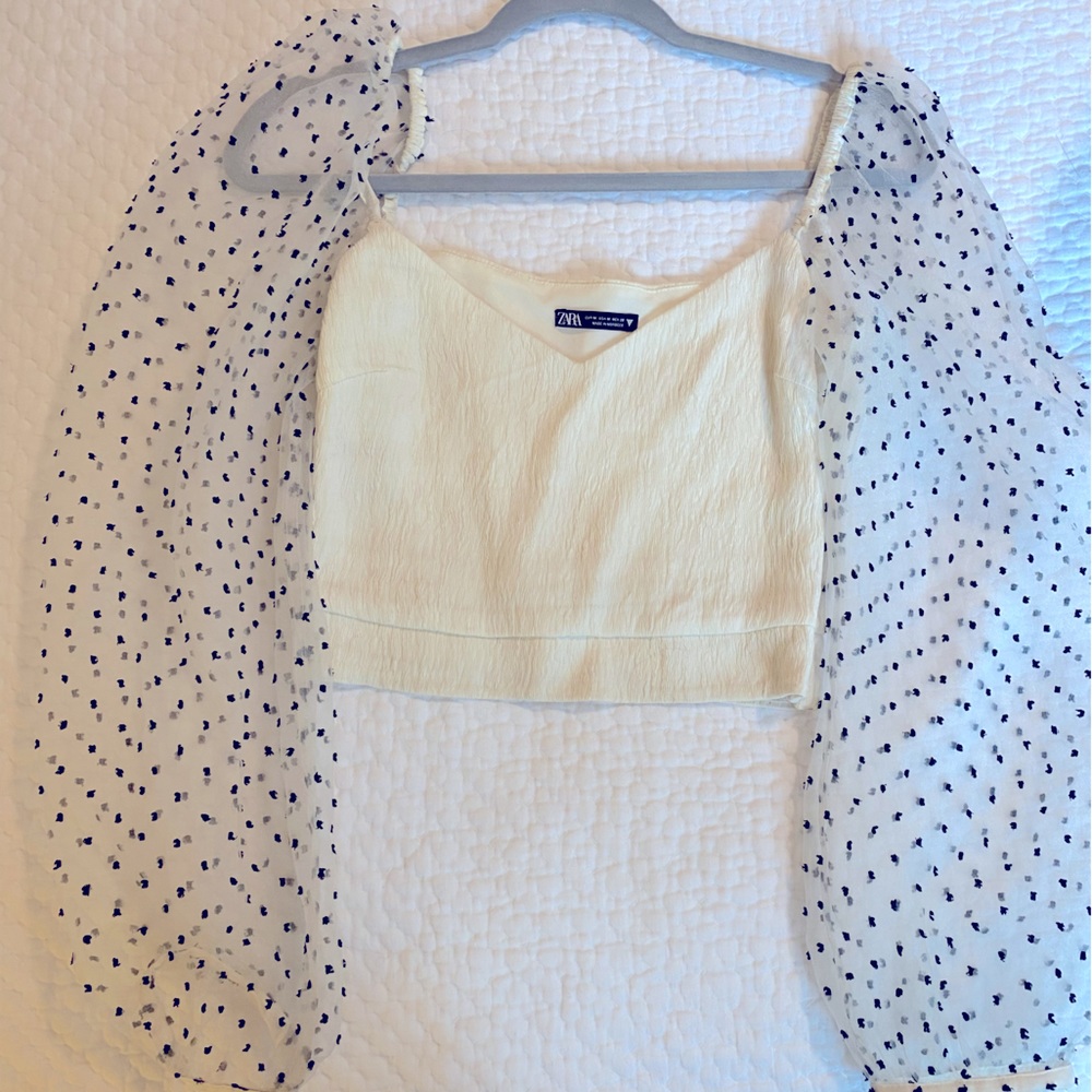 Zara Organza Top